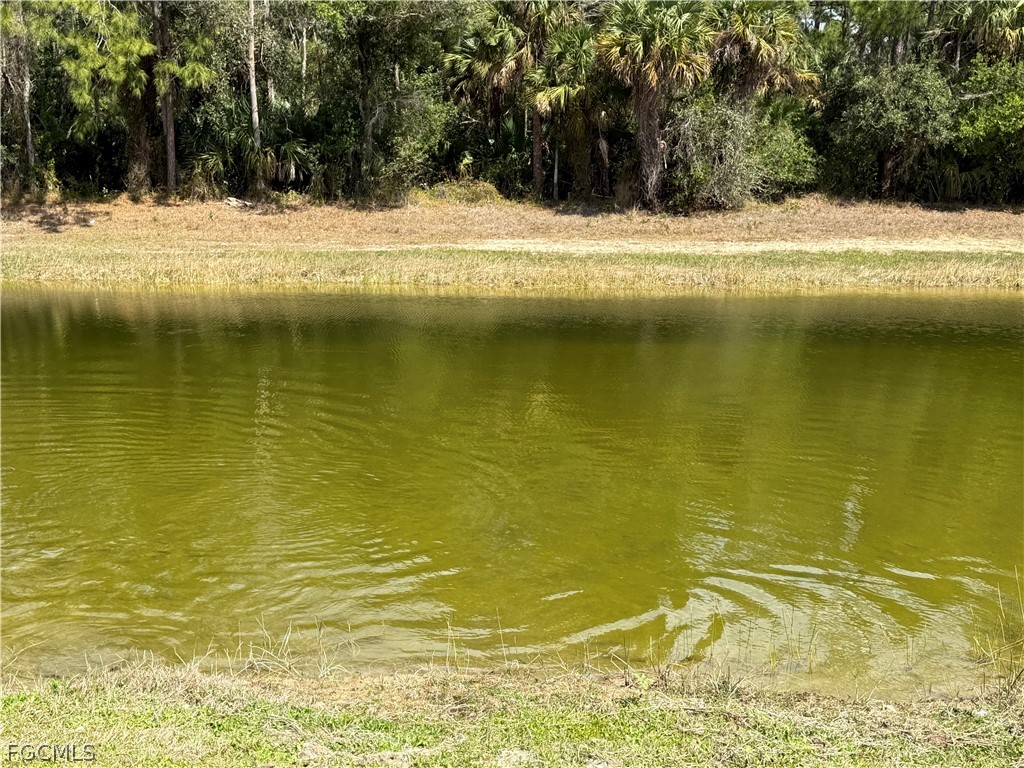 8004 Spice Court Labelle FL 33935 2026012223 image33