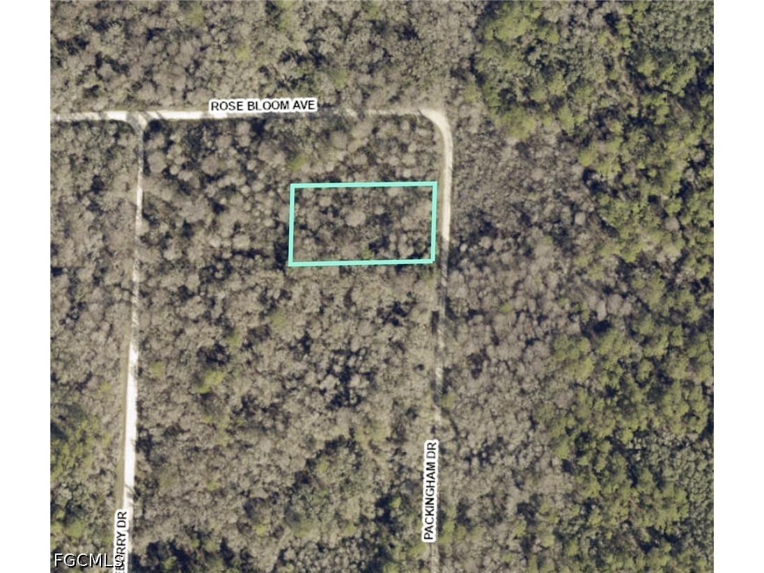 8009 Packingham Street Webster FL 33597 2026028084 image1