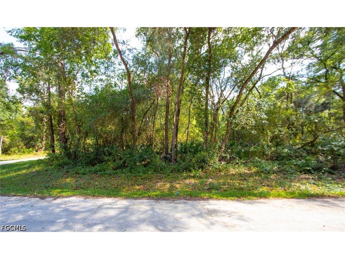 8009 Packingham Street Webster FL 33597 2026028084 image2