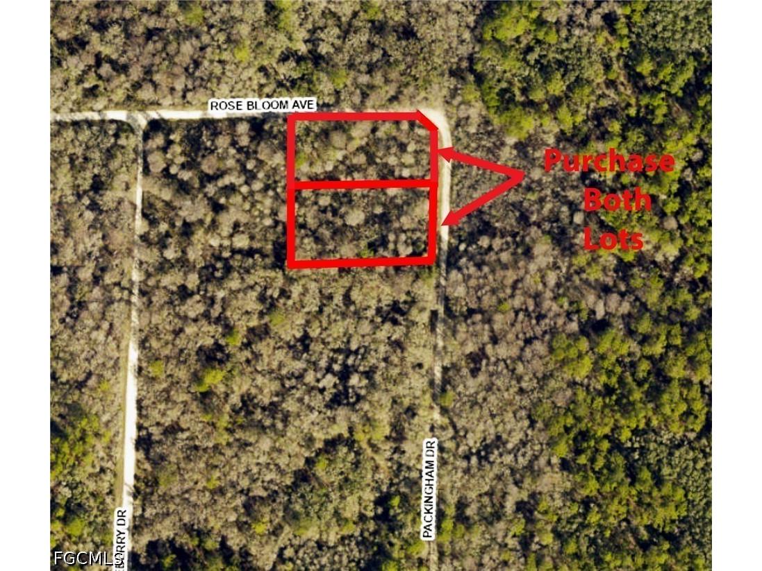 8009 Packingham Street Webster FL 33597 2026028084 image3