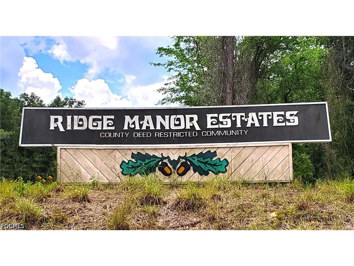 8009 Packingham Street Webster FL 33597 2026028084 image4