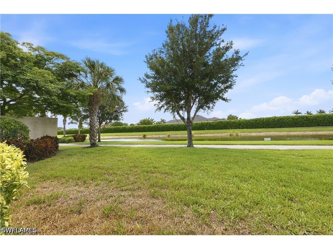 8010 Helena Court Ave Maria FL 34142 226021272 image21