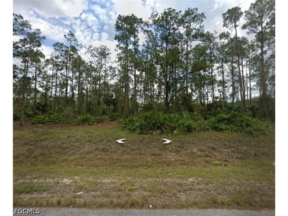 802 Sheldon Avenue Lehigh Acres FL 33936 2026020161 image1