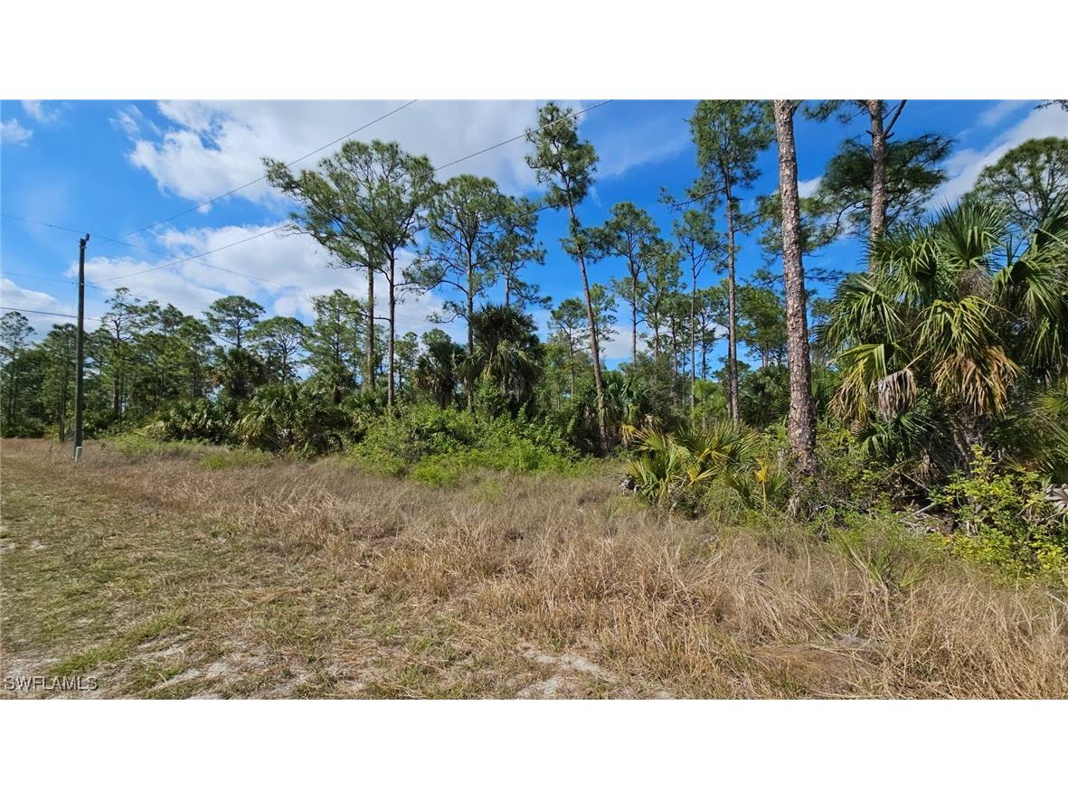 802 W 13th Street Lehigh Acres FL 33972 225025500 image1