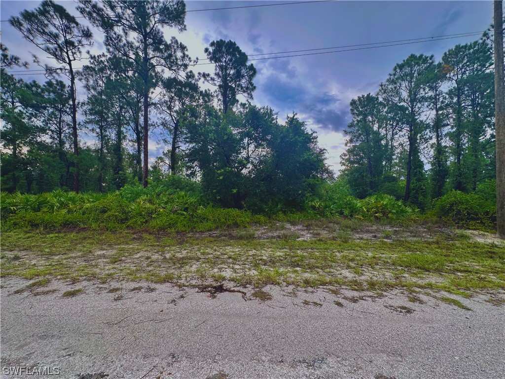 802 W 18th Street Lehigh Acres FL 33972 224002272 image1