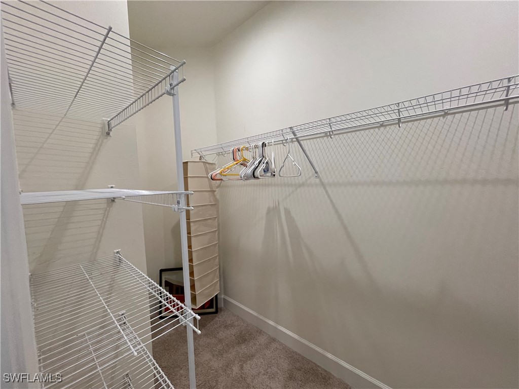 8021 Calle Canovas Court Naples FL 34114 225077950 image21