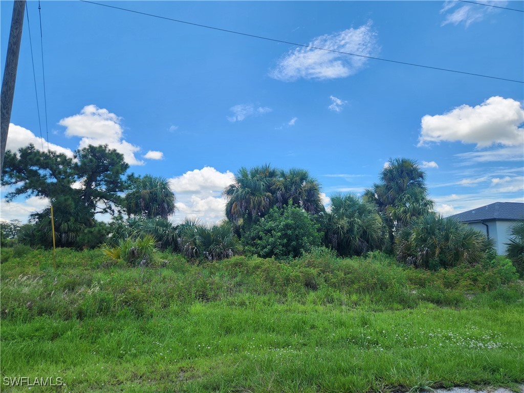 8029 Salem Circle Labelle FL 33935 225017269 image1