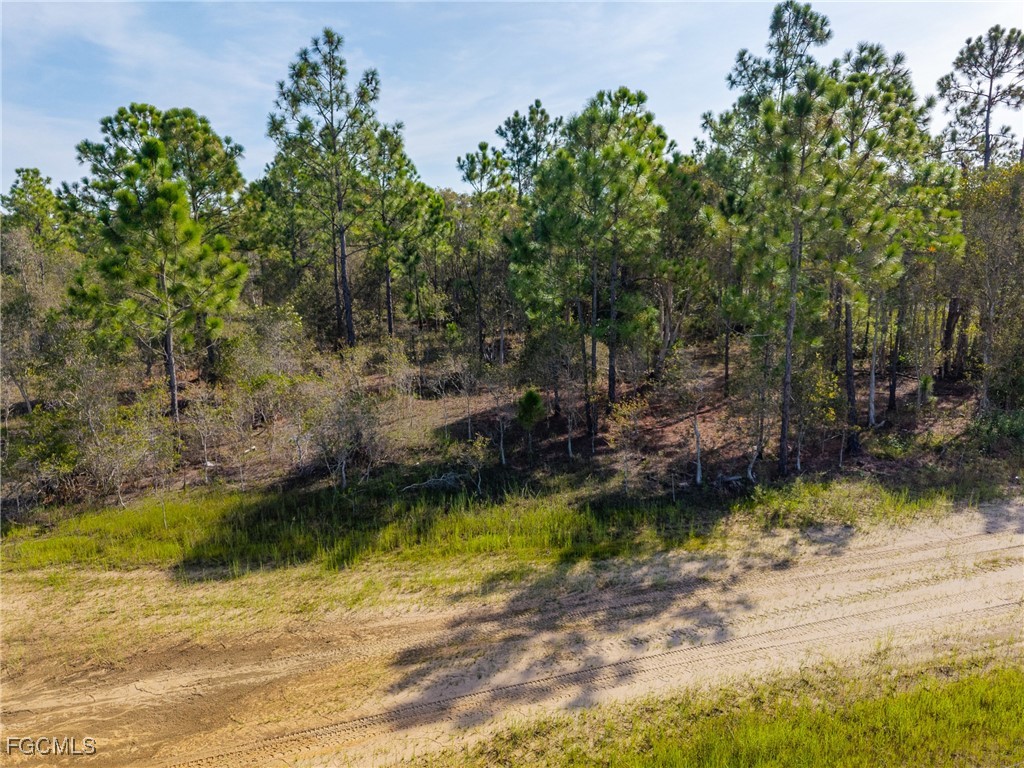 803 Fabian Circle Fort Myers FL 33913 2025006560 image16