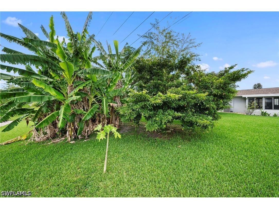 803 Monet Street Lehigh Acres FL 33936 226021736 image33