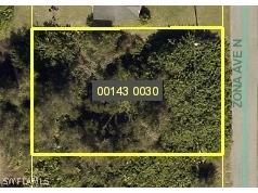 803 Zona Avenue N Lehigh Acres FL 33971 224052708 image1