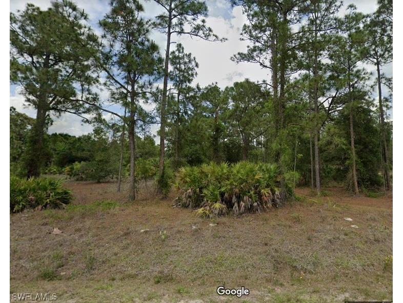 804 Canton Avenue Lehigh Acres FL 33972 223056851 image1