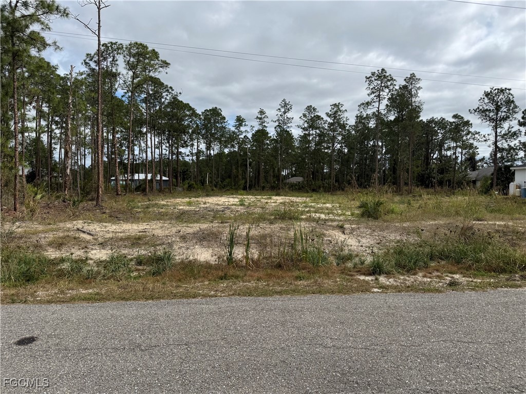  Lehigh Acres FL 33972 2025025727 image3