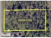 804 Desoto Avenue Lehigh Acres FL 33972 223089419 image1
