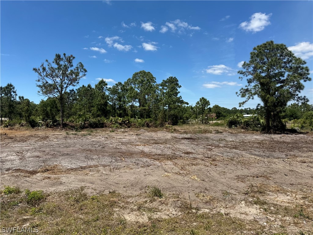 804 Downer Avenue S Lehigh Acres FL 33974 224034665 image1