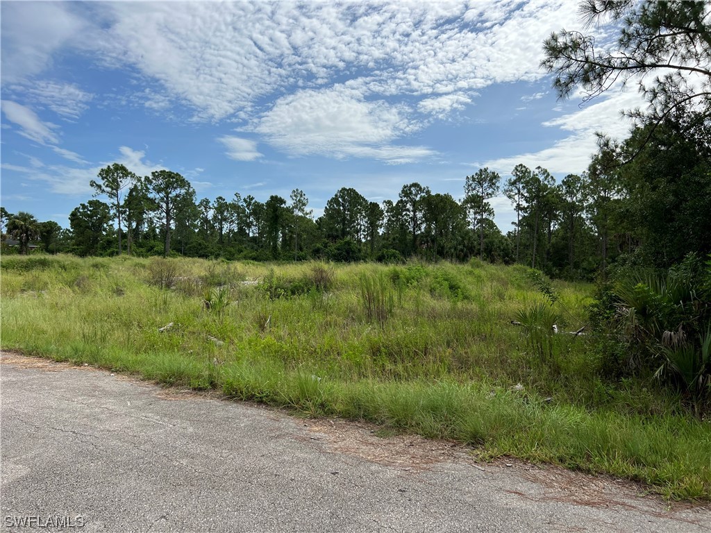 804 Oak Avenue Lehigh Acres FL 33972 223059539 image1