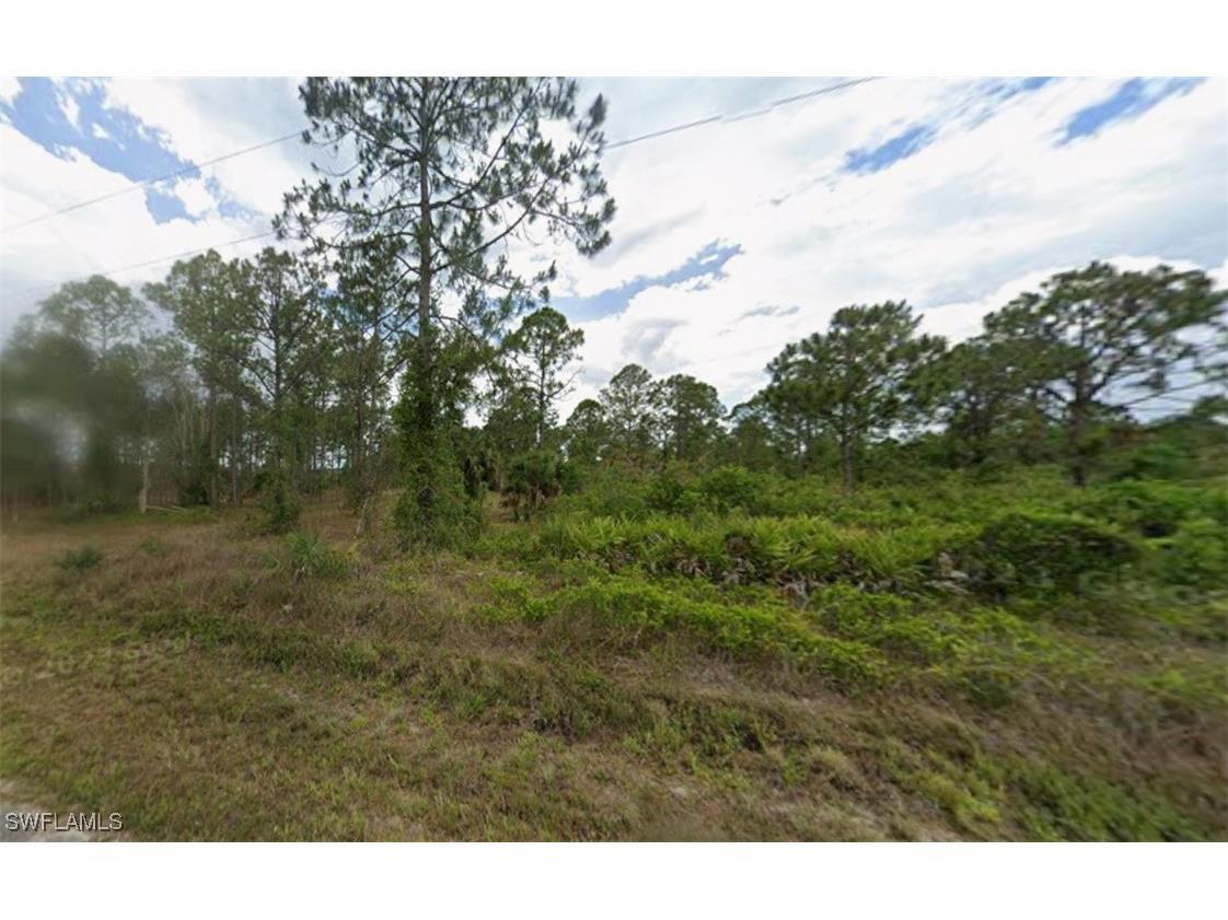805 Oak Avenue Lehigh Acres FL 33972 224083918 image1