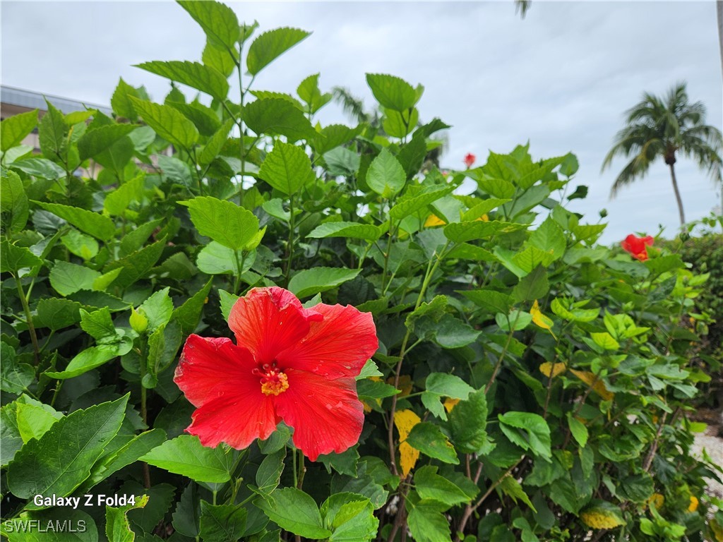 805 River Point Drive #C-307 Naples FL 34102 225073920 image27