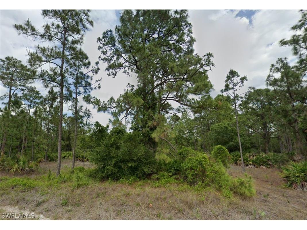 806 Canton Avenue Lehigh Acres FL 33972 226009395 image1