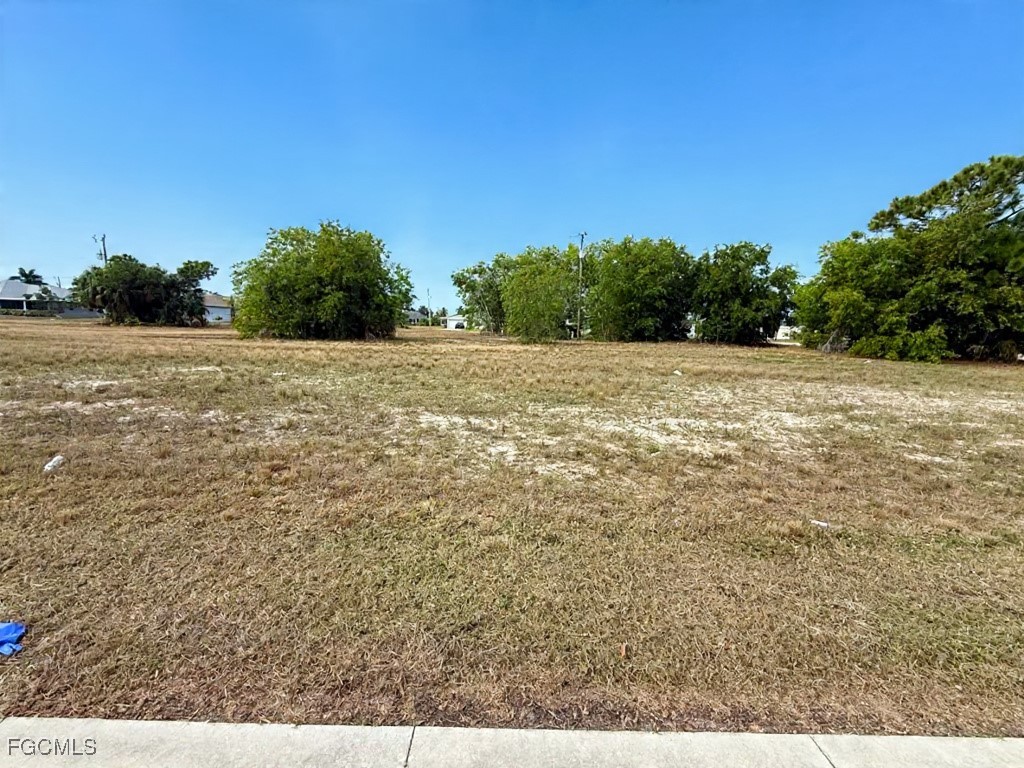 806 Skyline Boulevard Cape Coral FL 33991 2026002402 image2