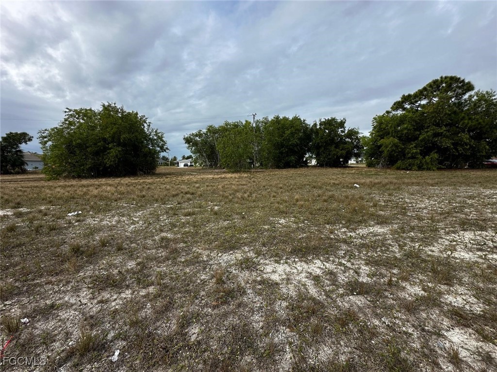 806 Skyline Boulevard Cape Coral FL 33991 2026002402 image5