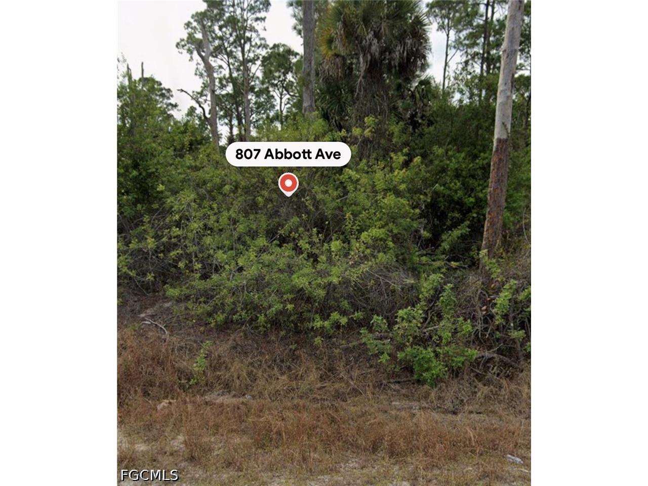 807 Abbott Avenue Lehigh Acres FL 33972 2026026430 image3