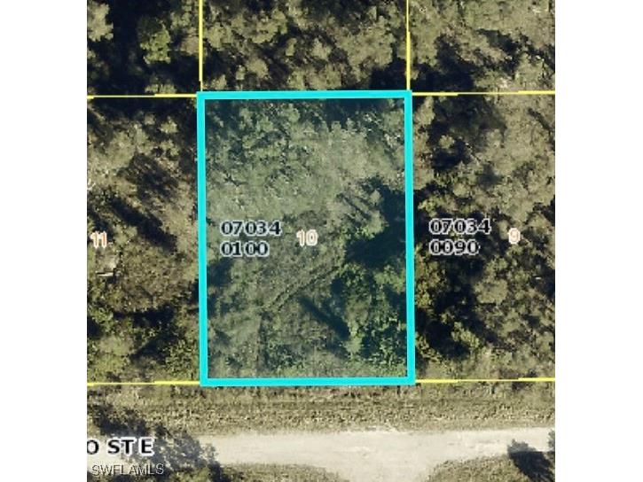 807 Alamo Street E Lehigh Acres FL 33974 225007872 image1