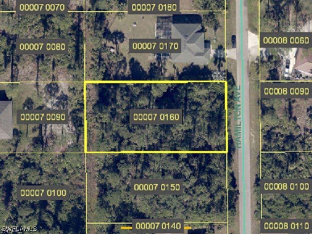 807 Hamilton Avenue Lehigh Acres FL 33972 223082937 image1