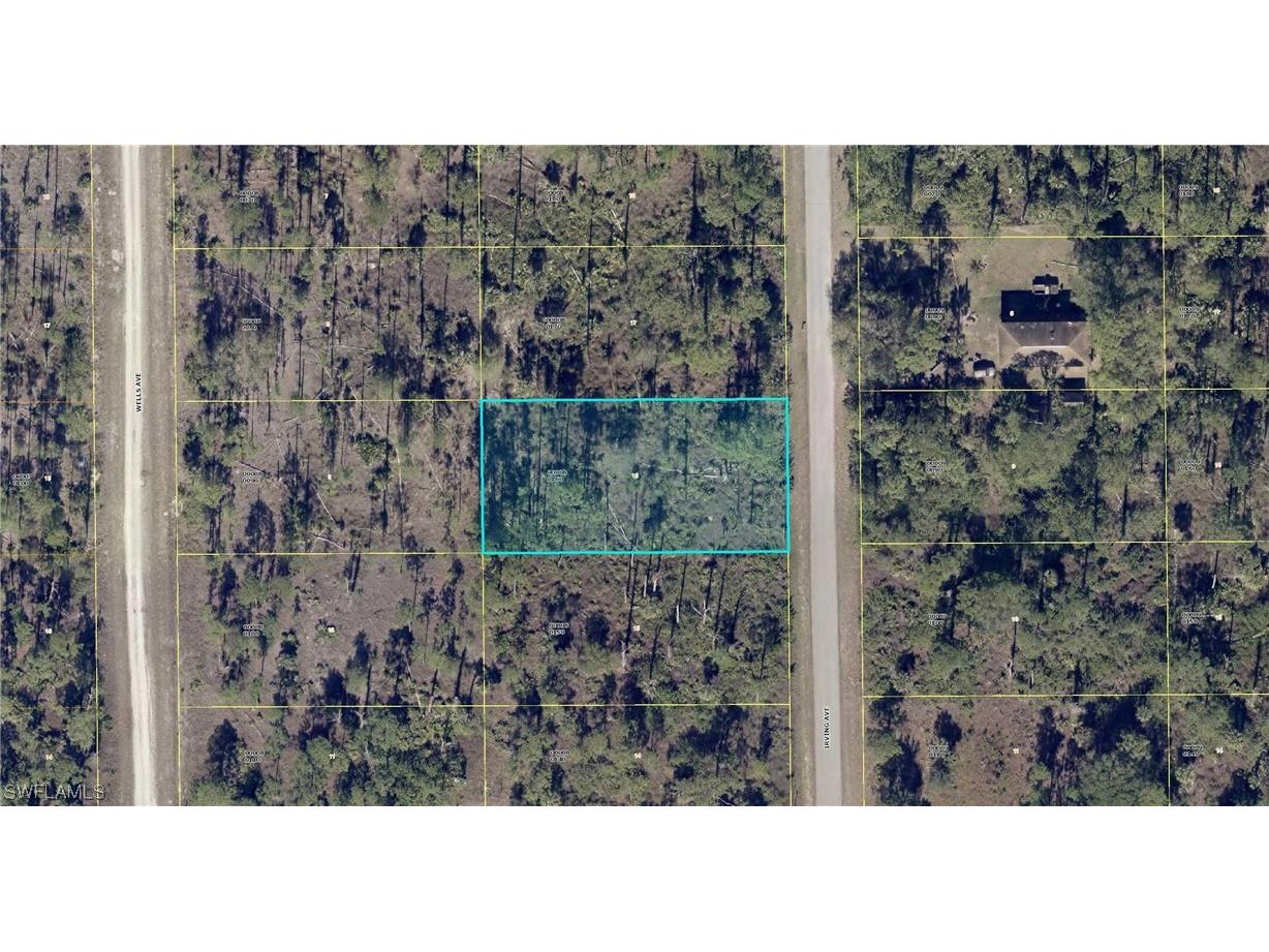 807 Irving Avenue Lehigh Acres FL 33972 223072052 image1