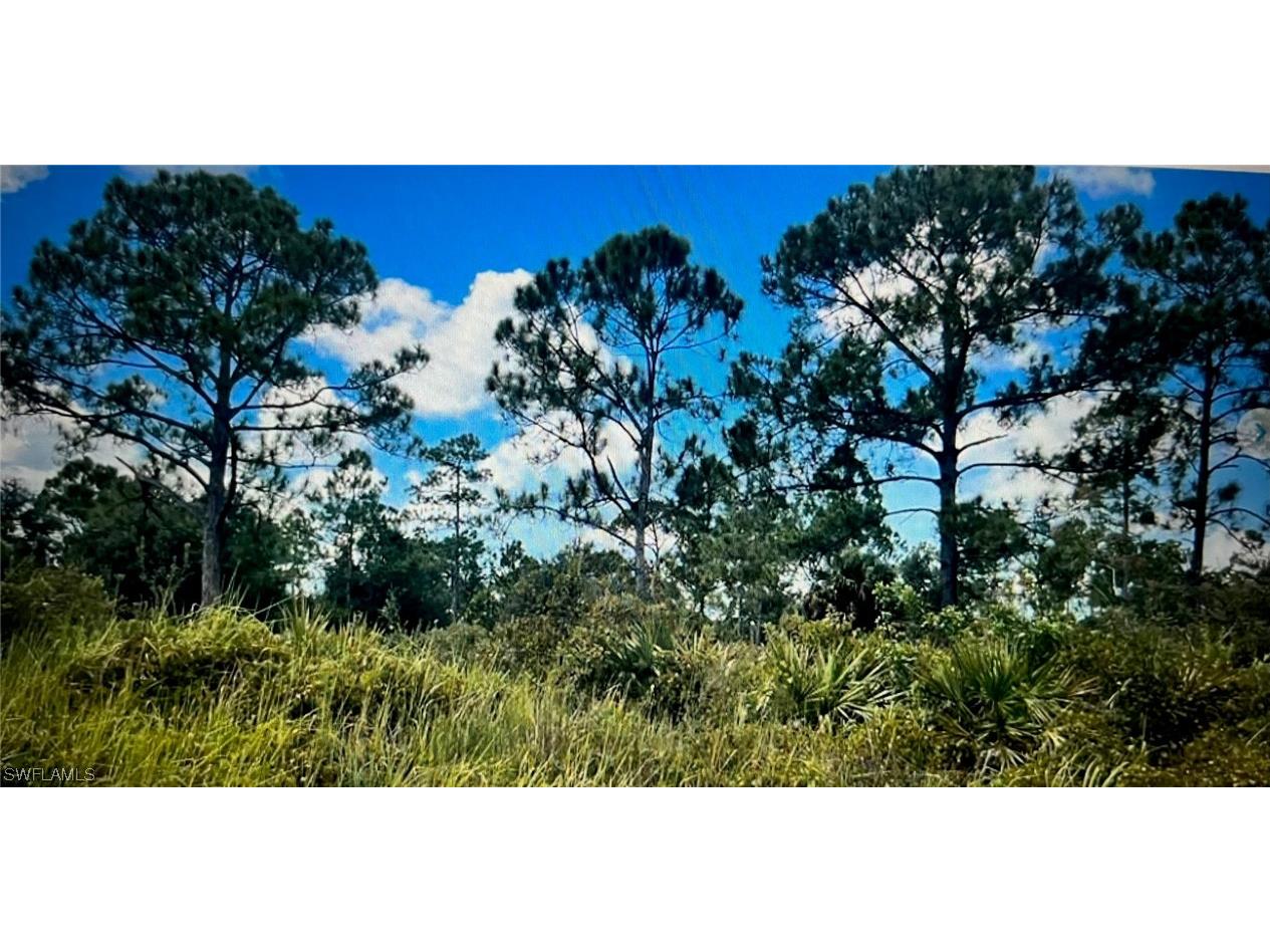 807 Monroe Drive Lehigh Acres FL 33936 223043554 image1