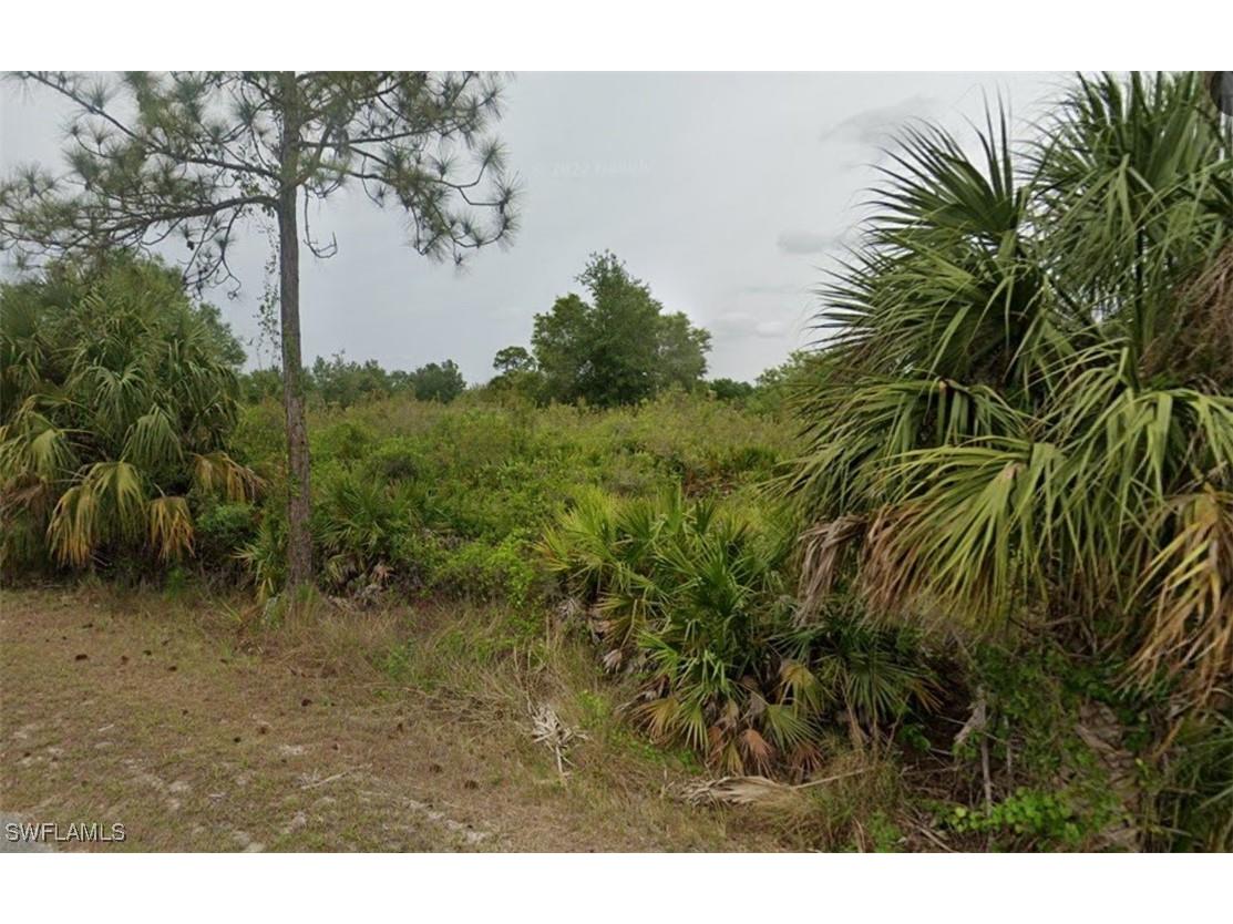 808 Maple Avenue N Lehigh Acres FL 33972 225010730 image1