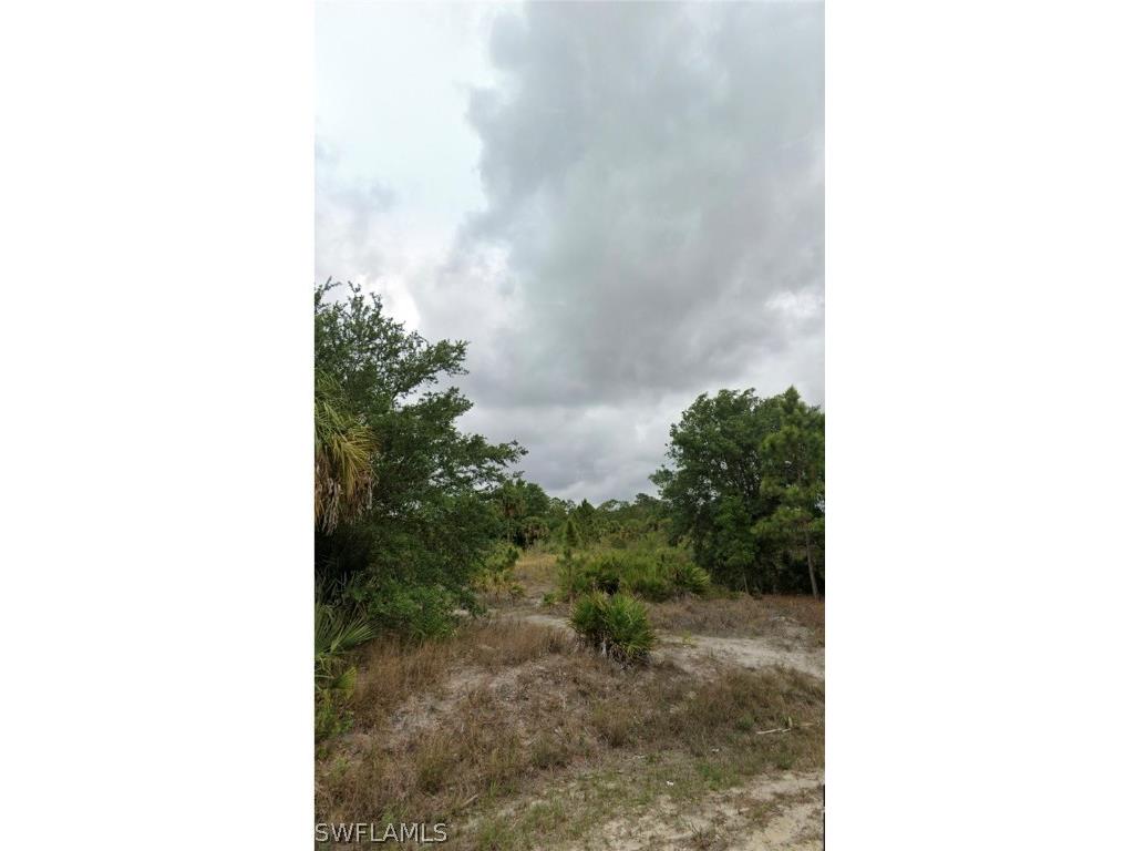 809 Plumosa Avenue Lehigh Acres FL 33972 222087106 image1