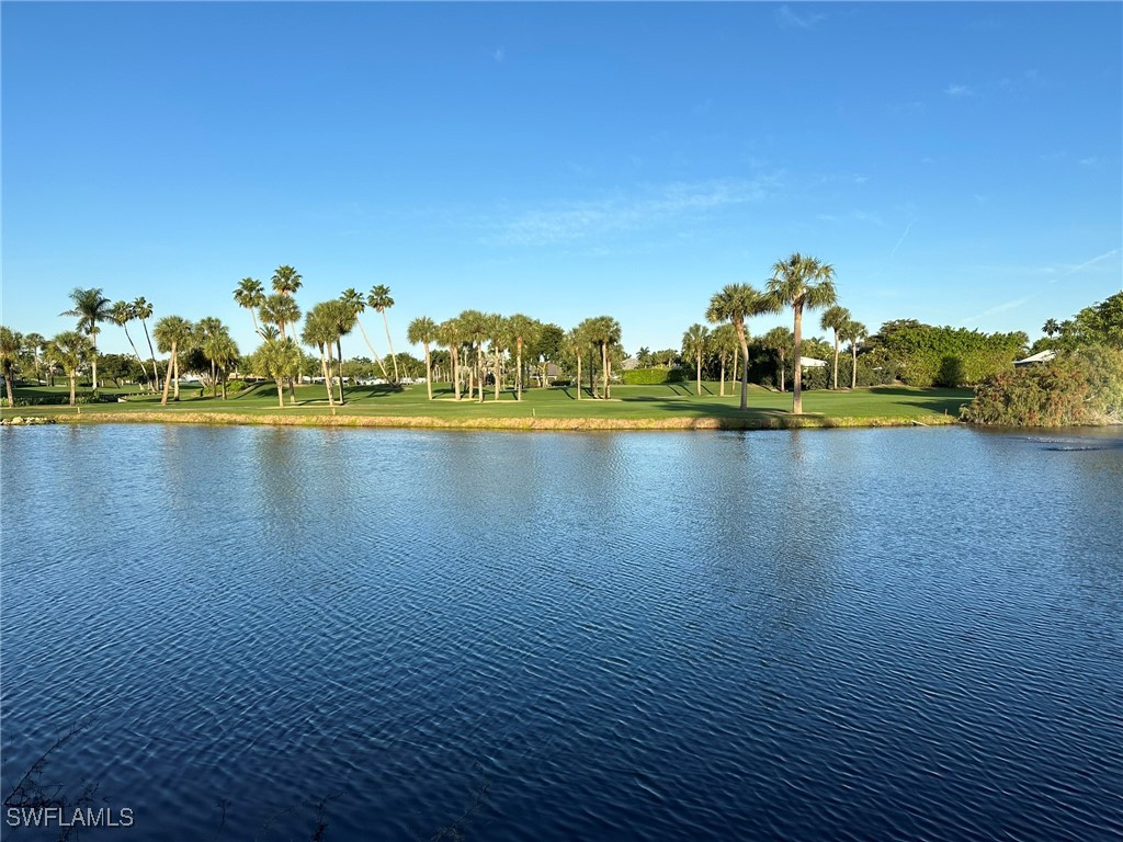 809 Wedge Drive Naples FL 34103 225083591 image39