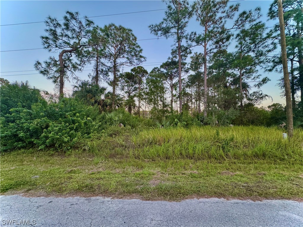 810 Magnolia Avenue Lehigh Acres FL 33972 224020681 image1