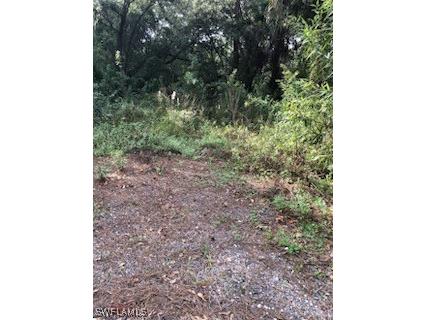 810 N Zambria Street Clewiston FL 33440 224090446 image1