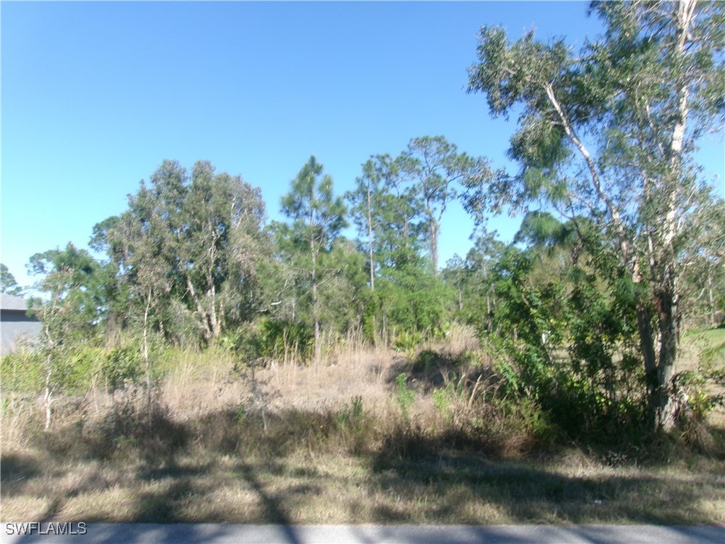 811 Aletha Avenue S Lehigh Acres FL 33974 225030012 image1