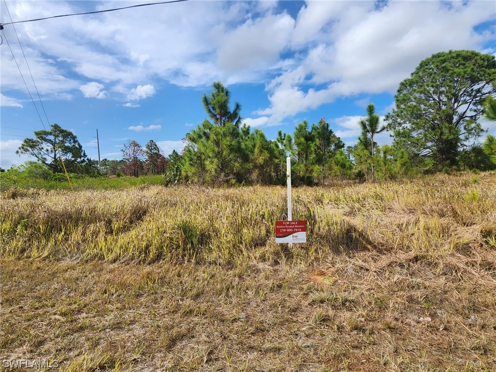 811 Asher Street E Lehigh Acres FL 33974 223027569 image1