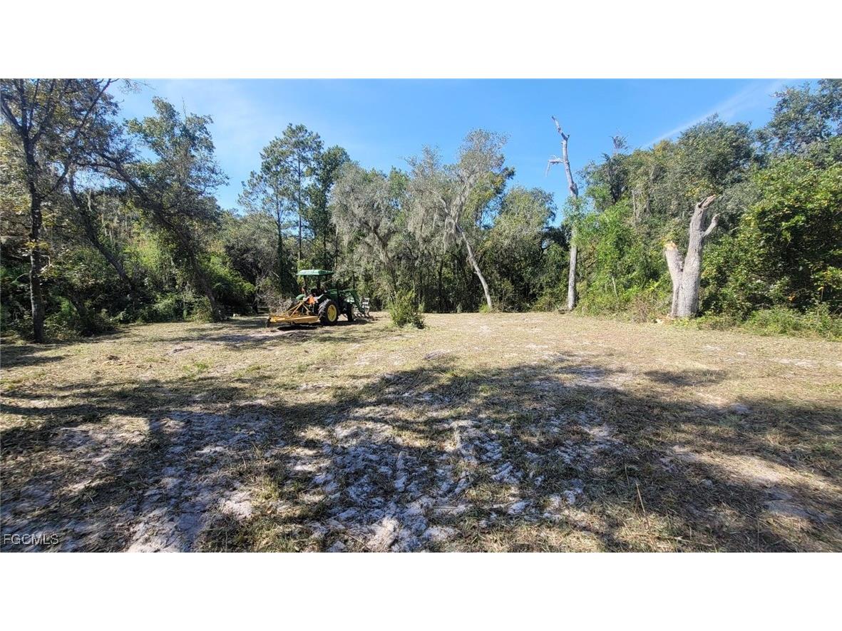 8115 Shasta Street Webster FL 33597 223041847 image1