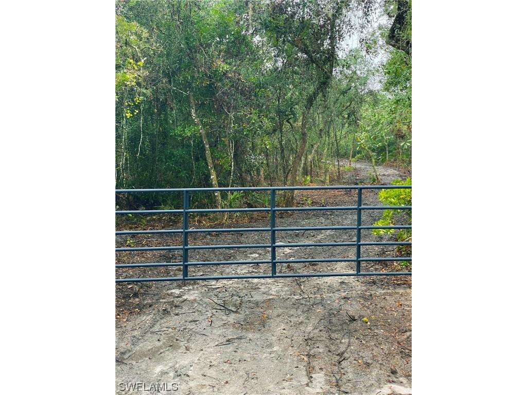 8115 Shasta Street Webster FL 33597 223041847 image10