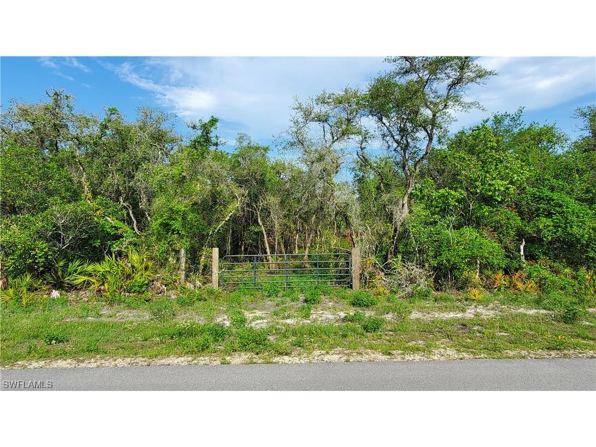 8115 Shasta Street Webster FL 33597 223041847 image11