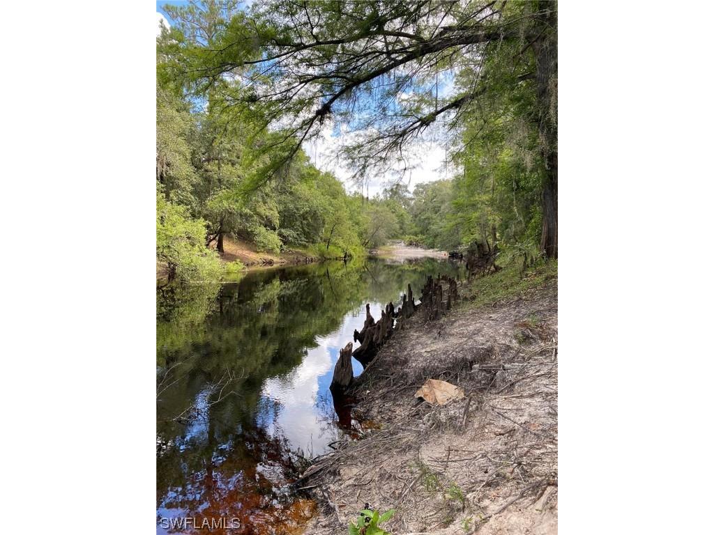 8115 Shasta Street Webster FL 33597 223041847 image3