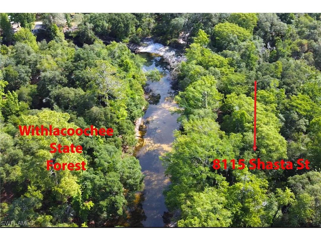 8115 Shasta Street Webster FL 33597 223041847 image4