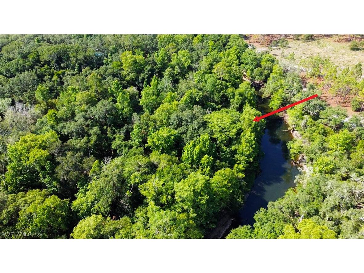 8115 Shasta Street Webster FL 33597 223041847 image5