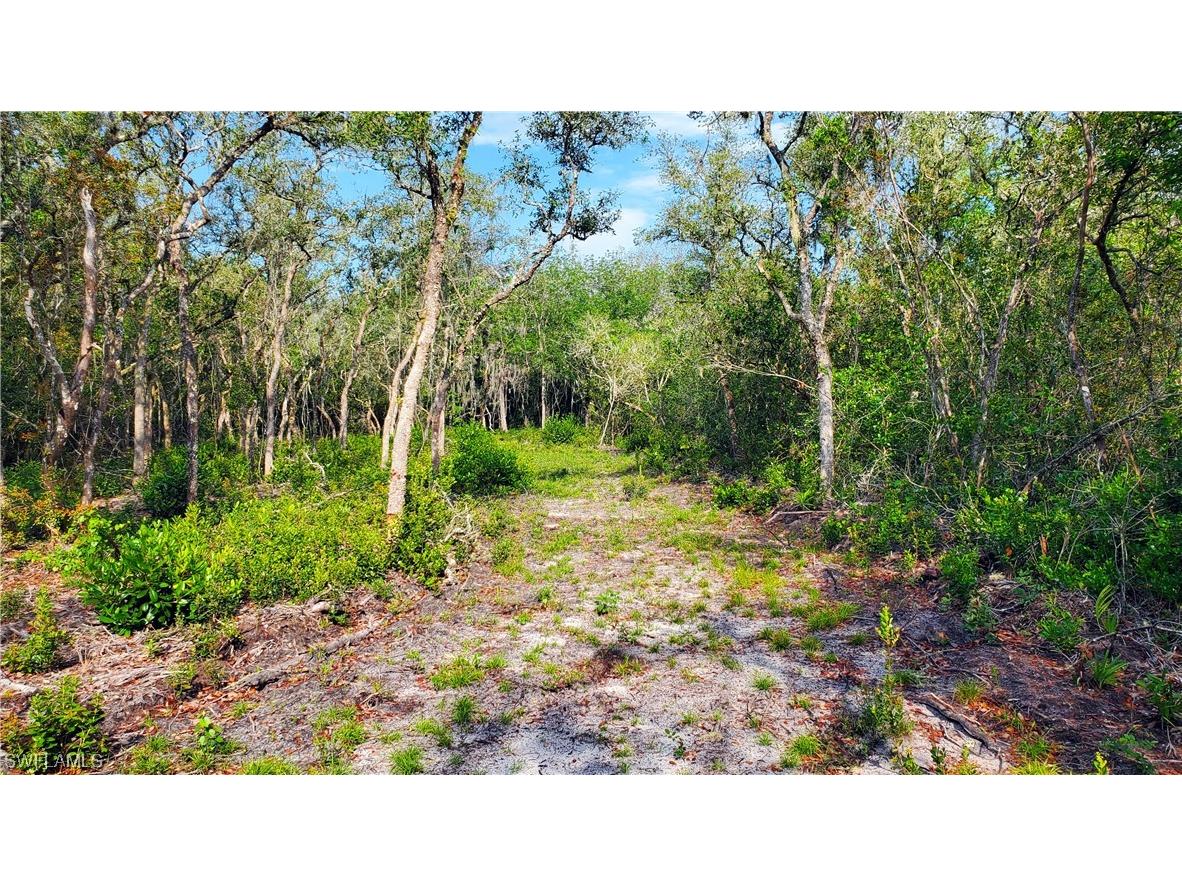 8115 Shasta Street Webster FL 33597 223041847 image6