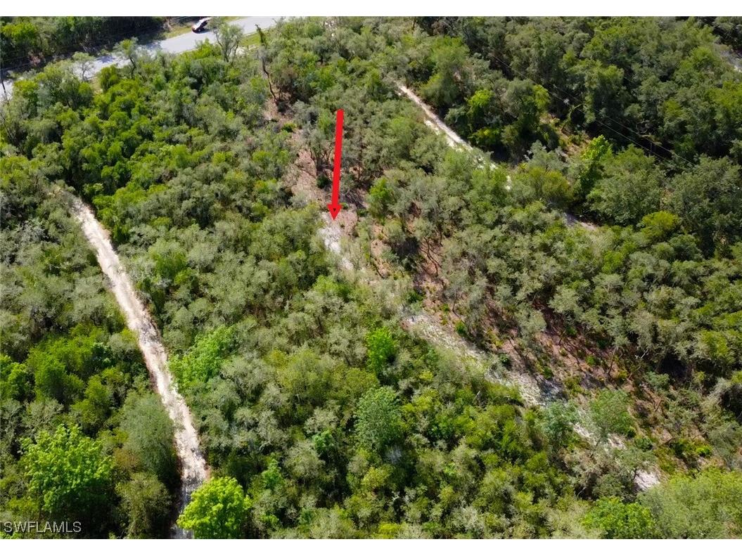 8115 Shasta Street Webster FL 33597 223041847 image7