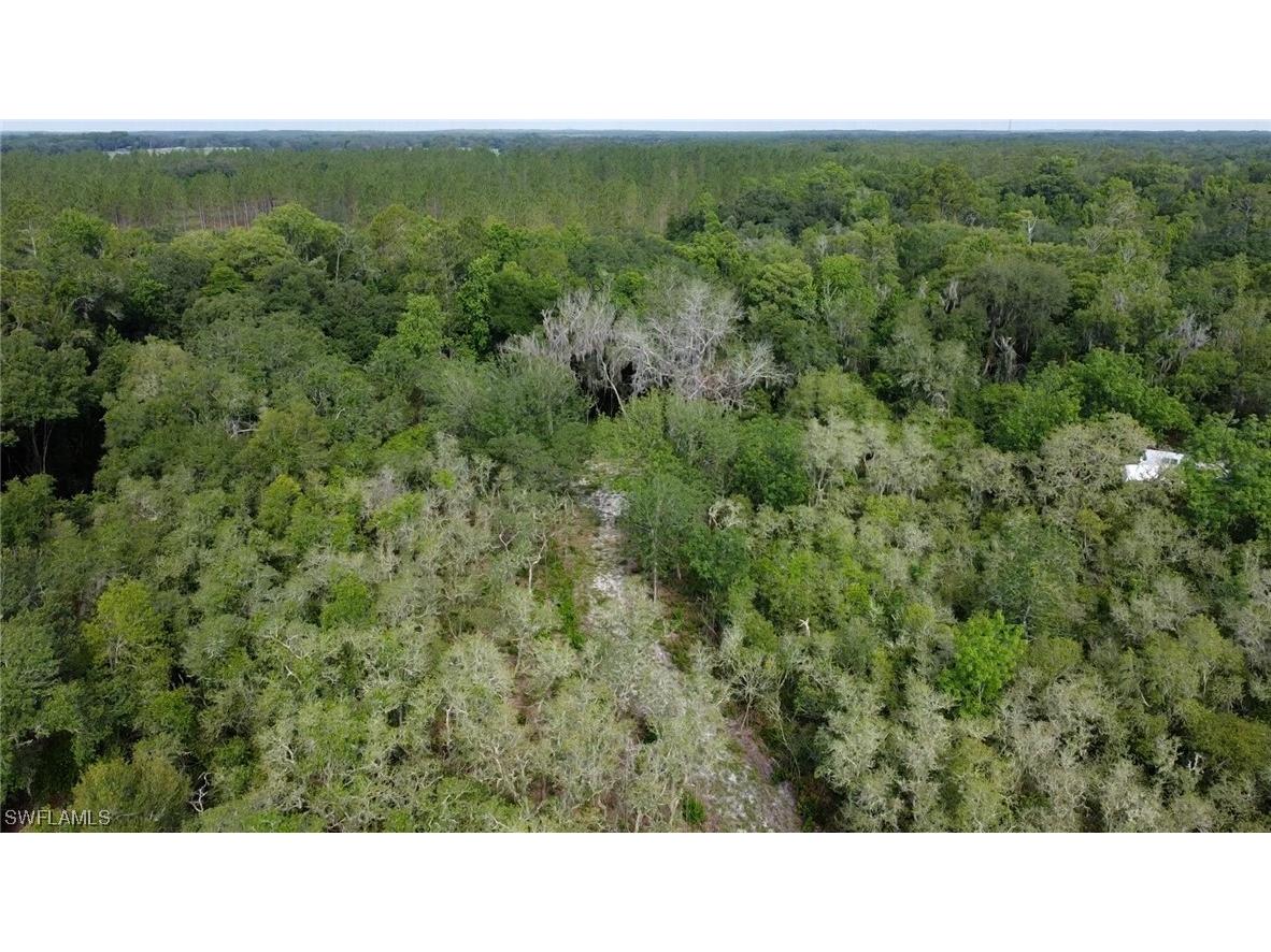 8115 Shasta Street Webster FL 33597 223041847 image8