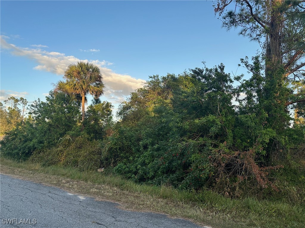 812 Calvin Avenue Lehigh Acres FL 33972 224101759 image1