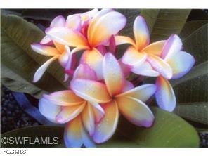 812 Palmetto Pointe Circle Cape Coral FL 33991 2025003142 image16