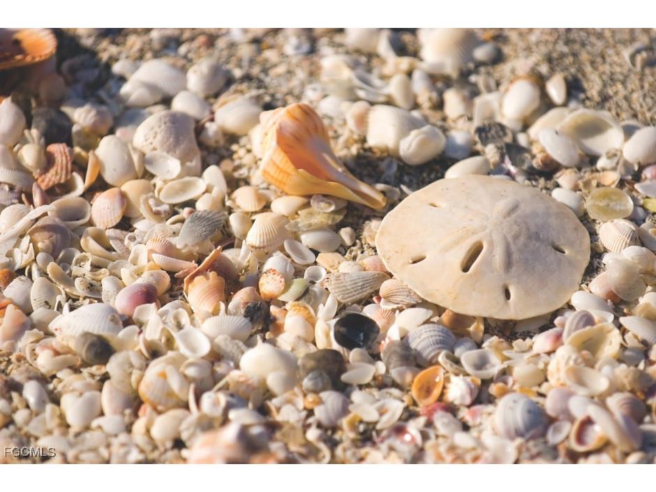 812 Palmetto Pointe Circle Cape Coral FL 33991 2025003142 image18