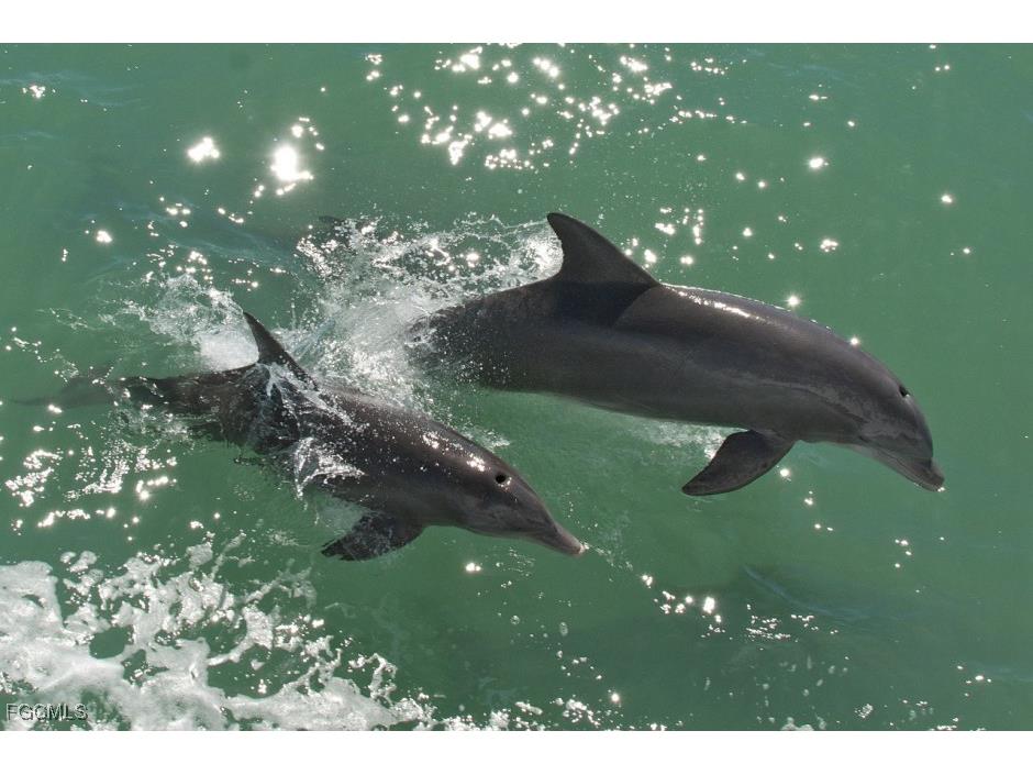 812 Palmetto Pointe Circle Cape Coral FL 33991 2025003142 image19