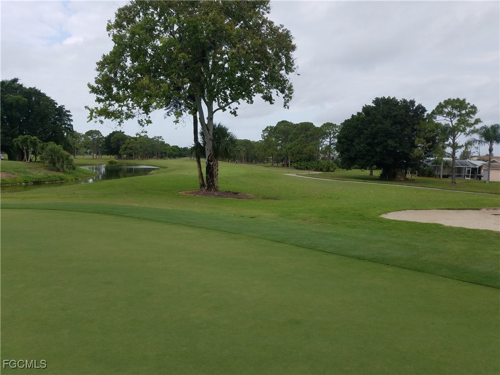 812 Palmetto Pointe Circle Cape Coral FL 33991 2025003142 image7